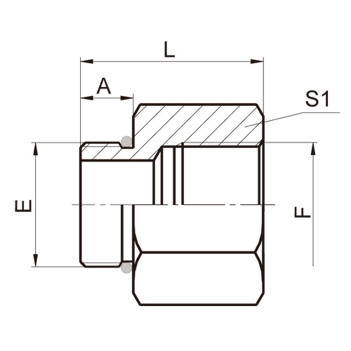 ɽͷ ADAPTER 5OB