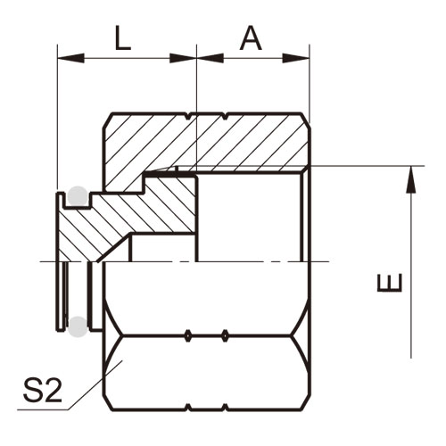 ɽͷ ADAPTER 9F